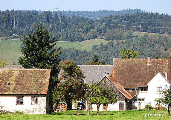 main-image